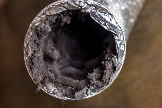 Best HVAC System Cleaning  in Imperial, MO